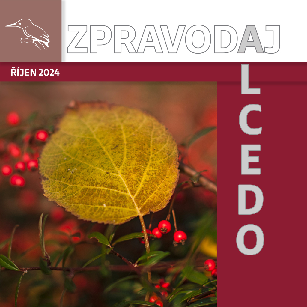 ZPRAVODAJ ŘÍJEN 2024