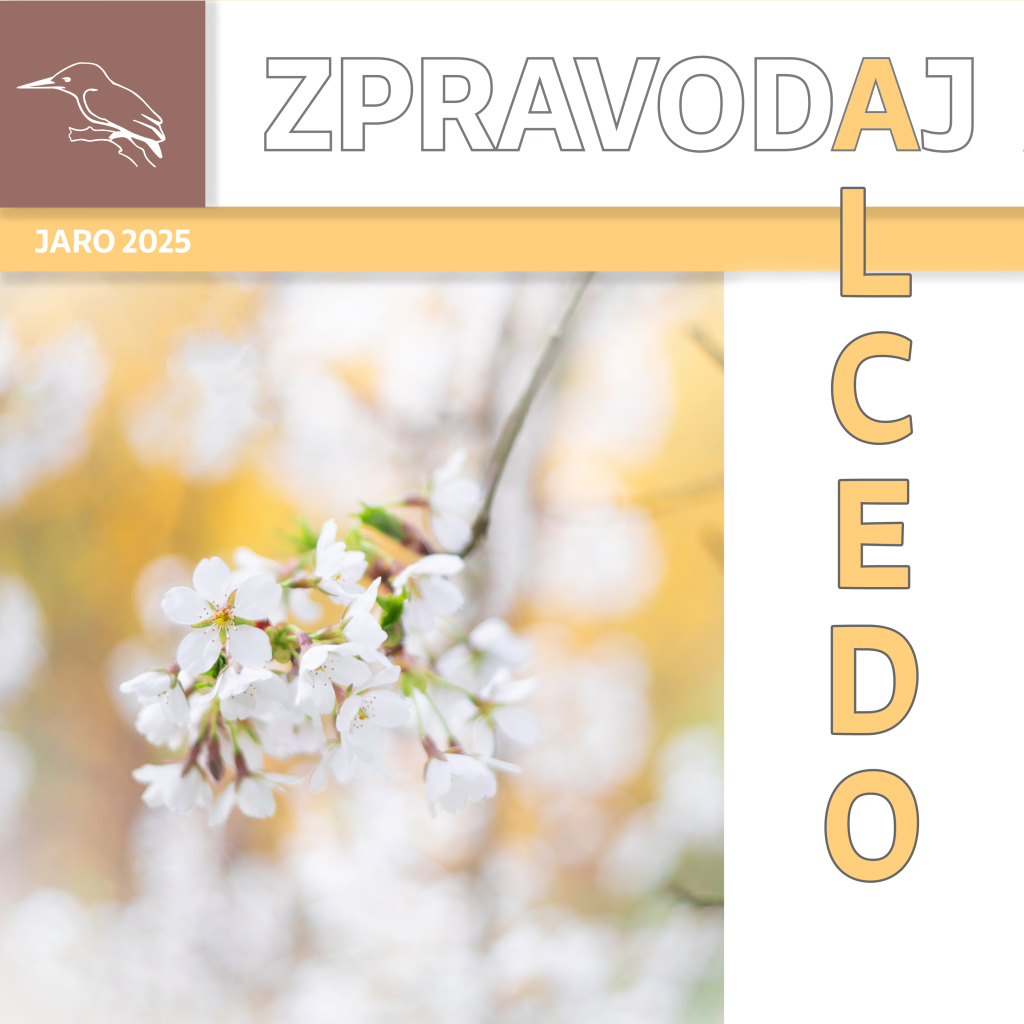 ZPRAVODAJ JARO 2025