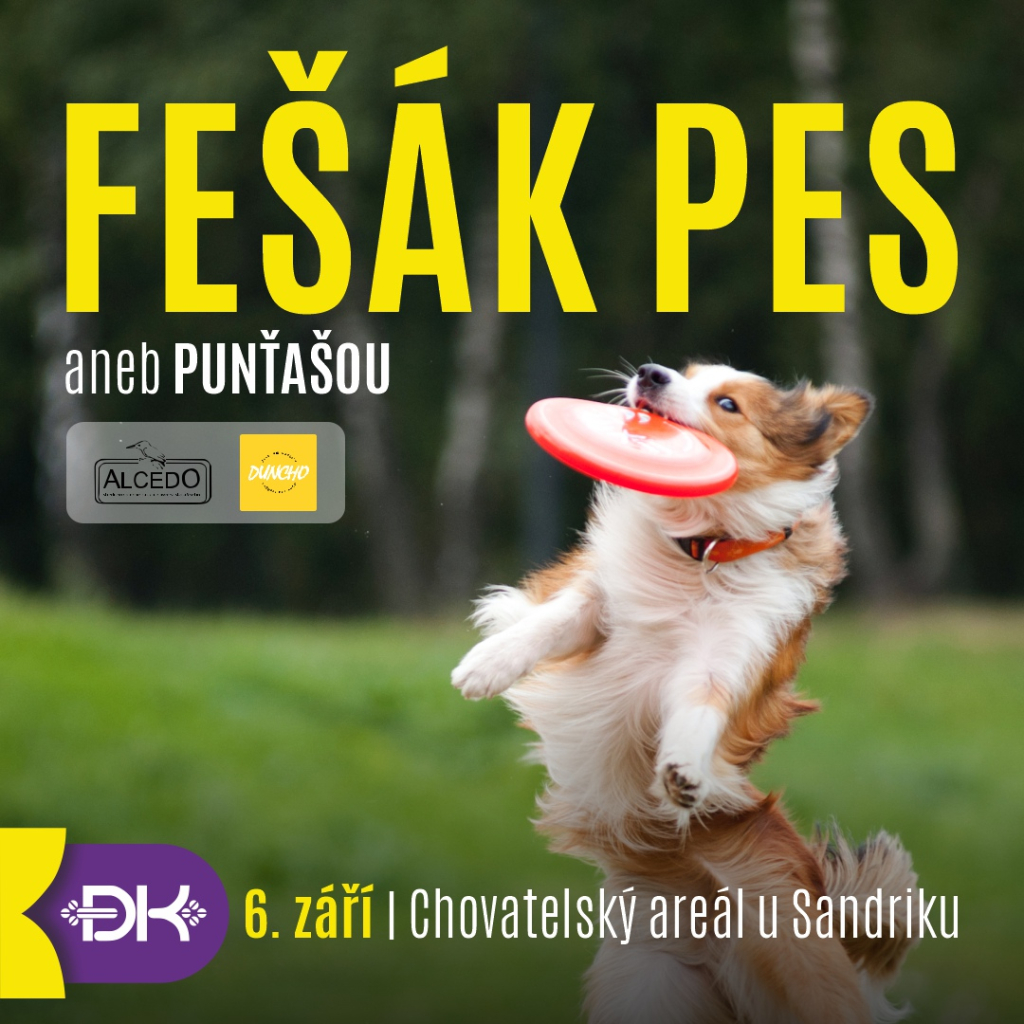FEŠÁK PES aneb PUNŤAŠOU