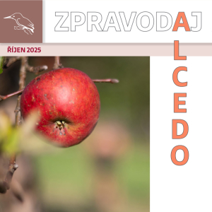 ZPRAVODAJ říjen 2025