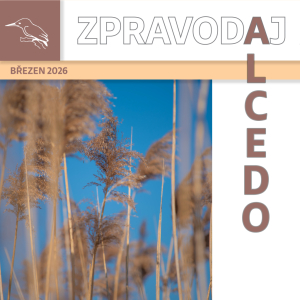 ZPRAVODAJ BŘEZEN 2026